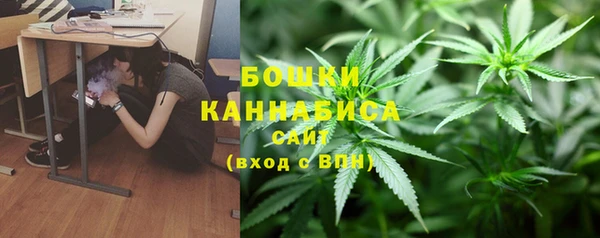 прущий лед Гусев
