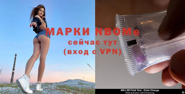 прущий лед Гусев