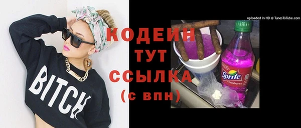 прущий лед Гусев
